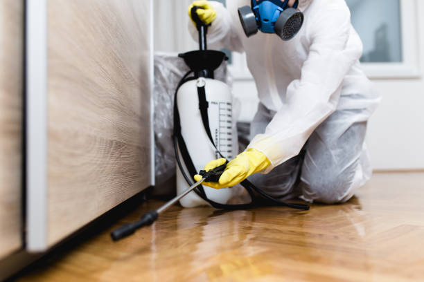 Best Pest Control Treatment  in Woodworth, OH