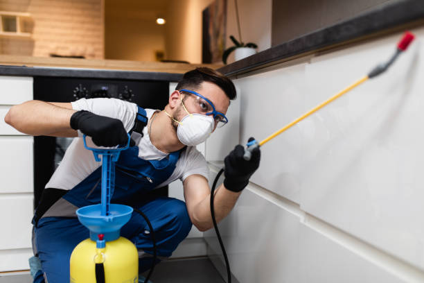 Wildlife Control Services in Woodworth, OH