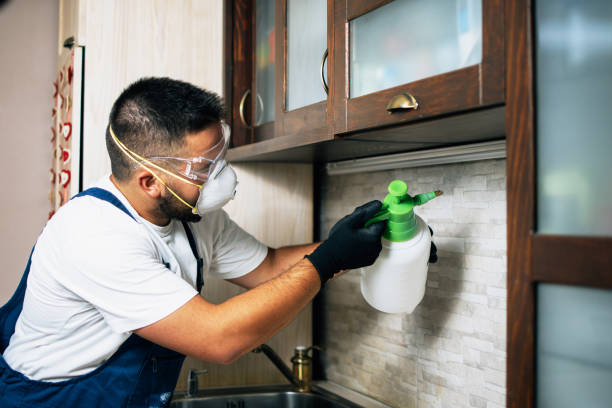 Best Pest Prevention Services  in Woodworth, OH