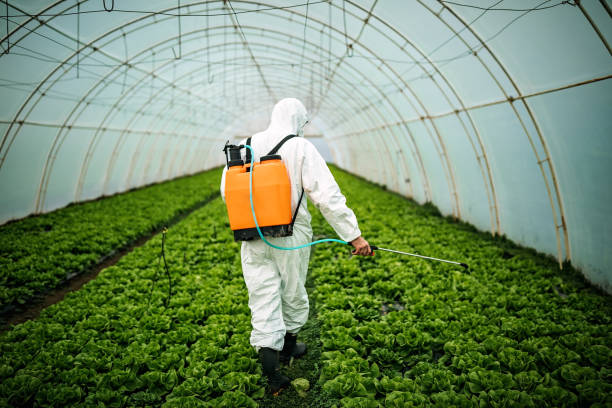 Best Pest Prevention Services  in Woodworth, OH