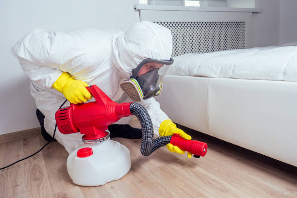 Best Flea Control Services  in Woodworth, OH
