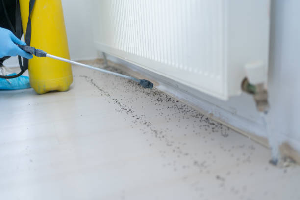 Best Best Pest Control Companies  in Woodworth, OH
